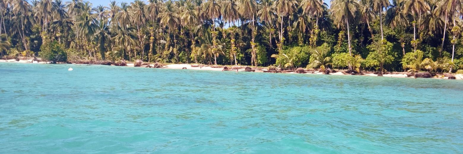 Yolanda Carrasco banner