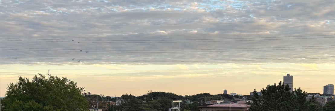 おりシロボシ banner