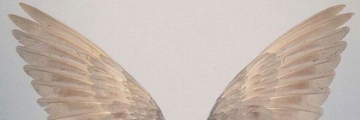 areebasharya0's profile banner image