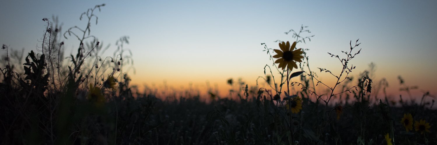 MJE2323's profile banner image