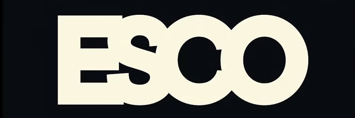eskkimo29's profile banner image