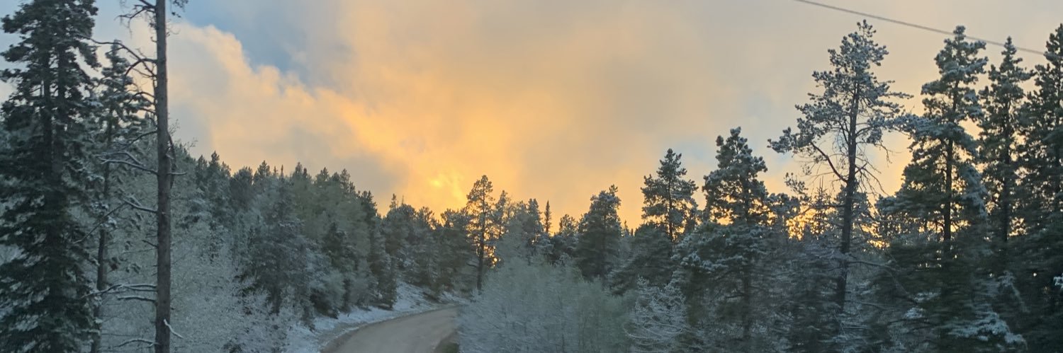 Taylor_lorr's profile banner image