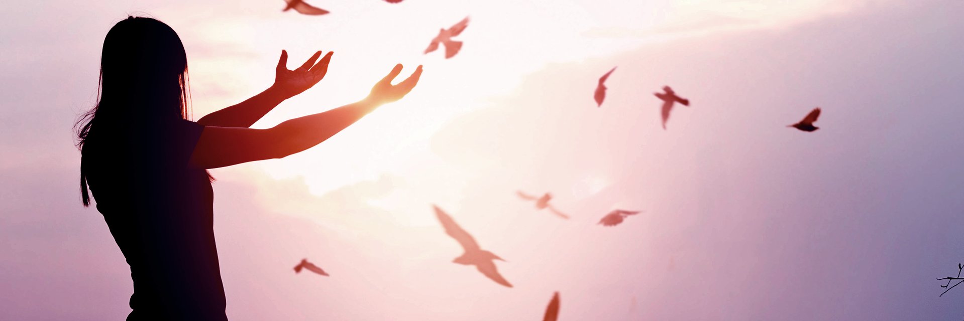 VashonDoVE's profile banner image