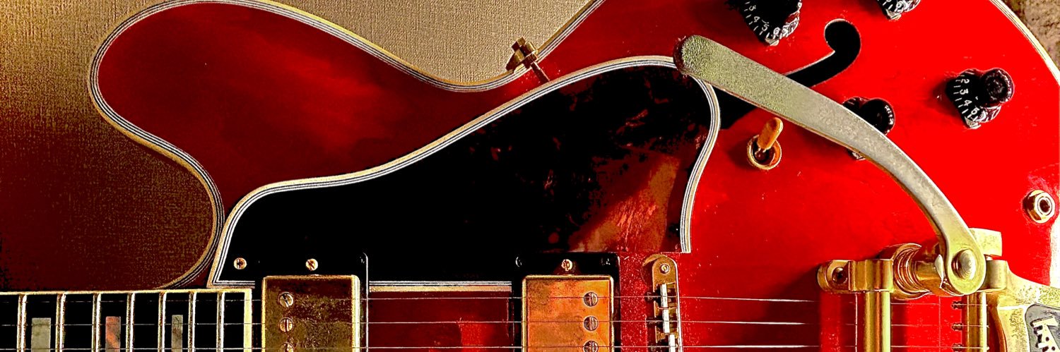 エックスレイ🎸 banner