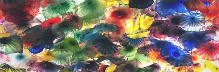 presleyschaeff's profile banner image