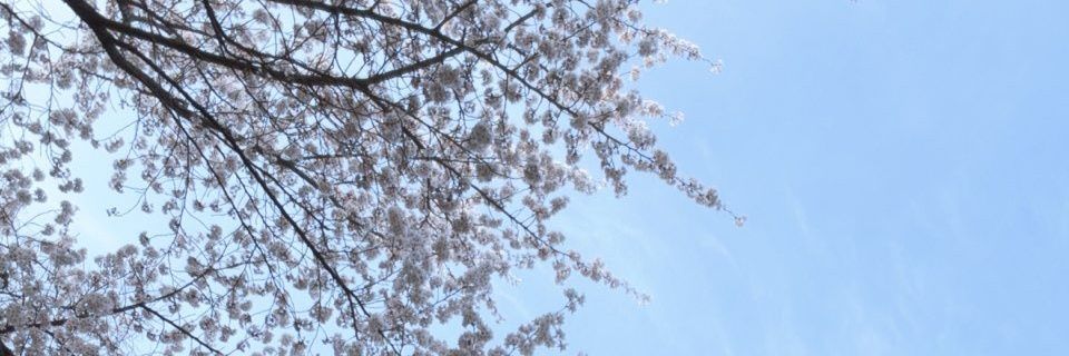 jerinjun's profile banner image