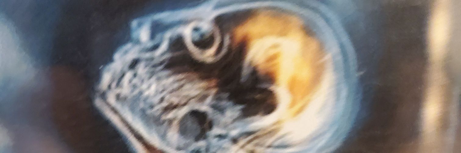 Scout Mangler banner