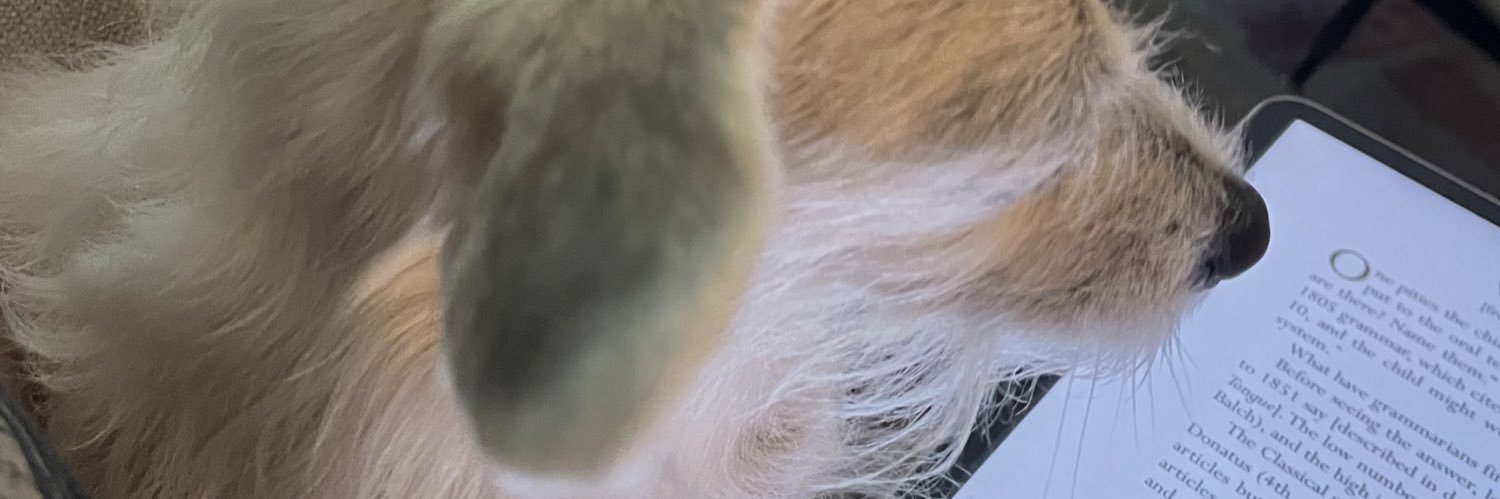Anna Ivey banner