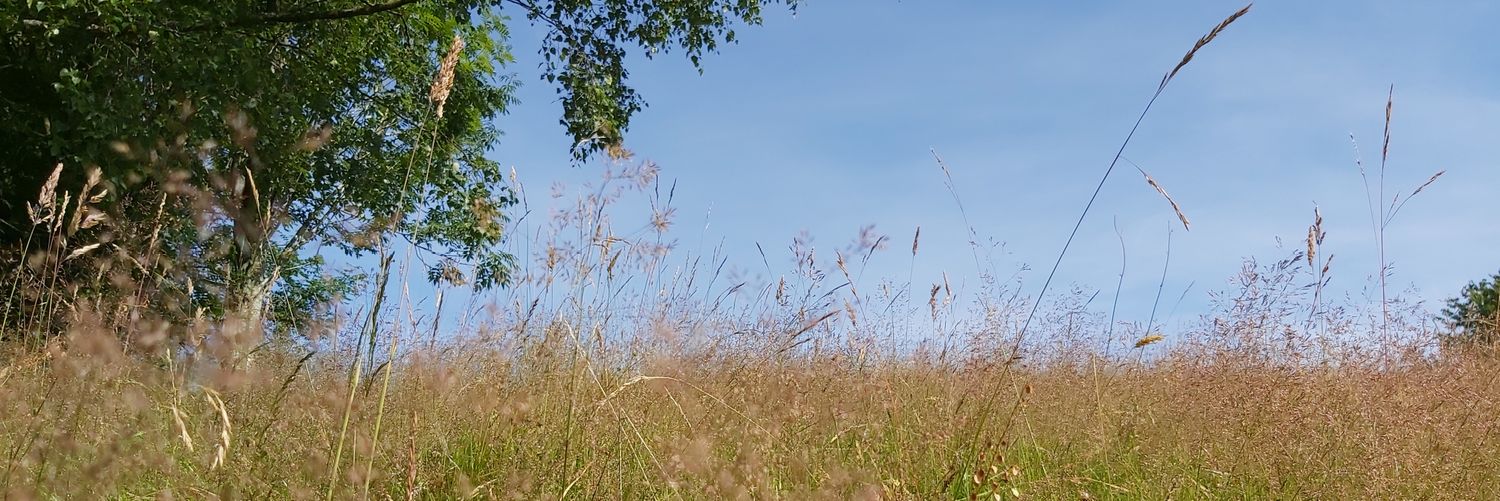 ColinRyan16's profile banner image