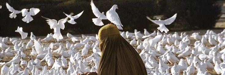 الرحمة banner