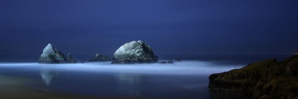 Eileen Partridge banner