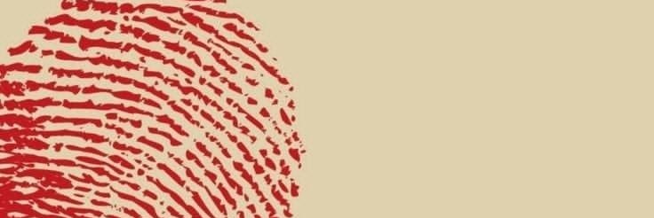 lírio ʕ•⁠ᴥ⁠•⁠ʔ banner