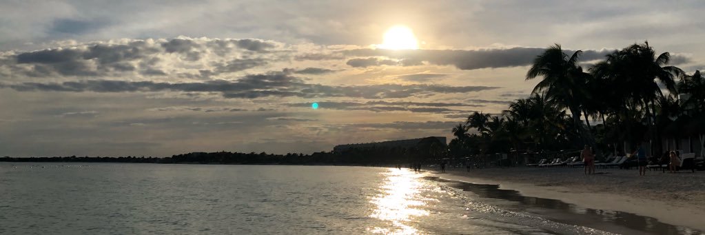 tsueversteeg's profile banner image