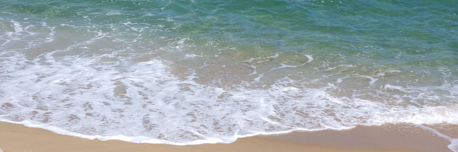 이사해요! 로밍 banner