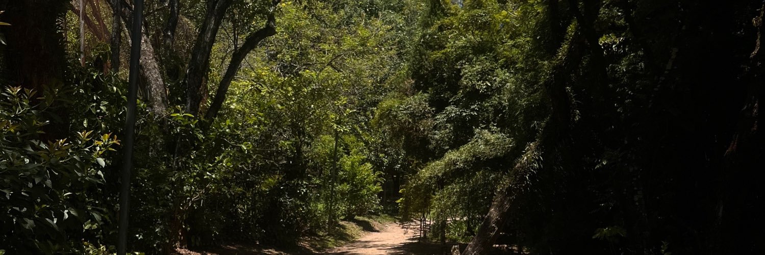 tahpso's profile banner image