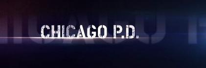 Hank Voight1990 banner