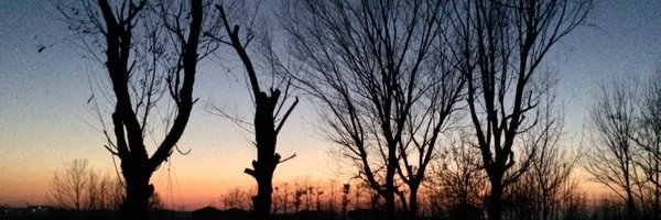 Debby Hubbard banner