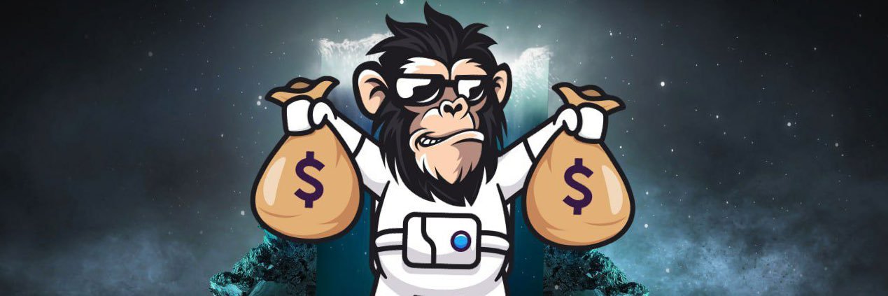 MonkeyMoon Bsc banner