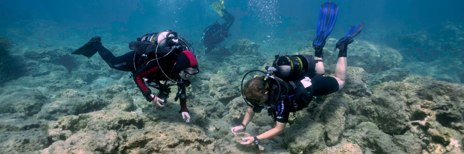 Dr. Lucy Blue banner