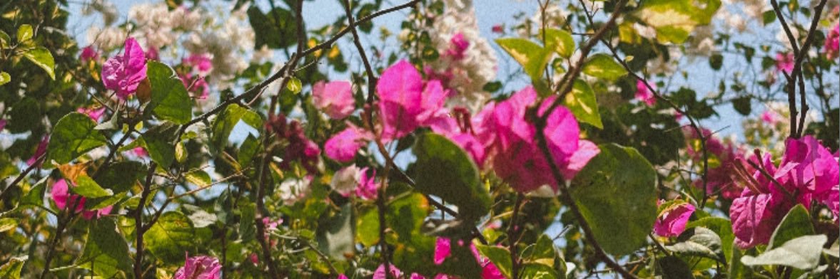 ☾'s banner