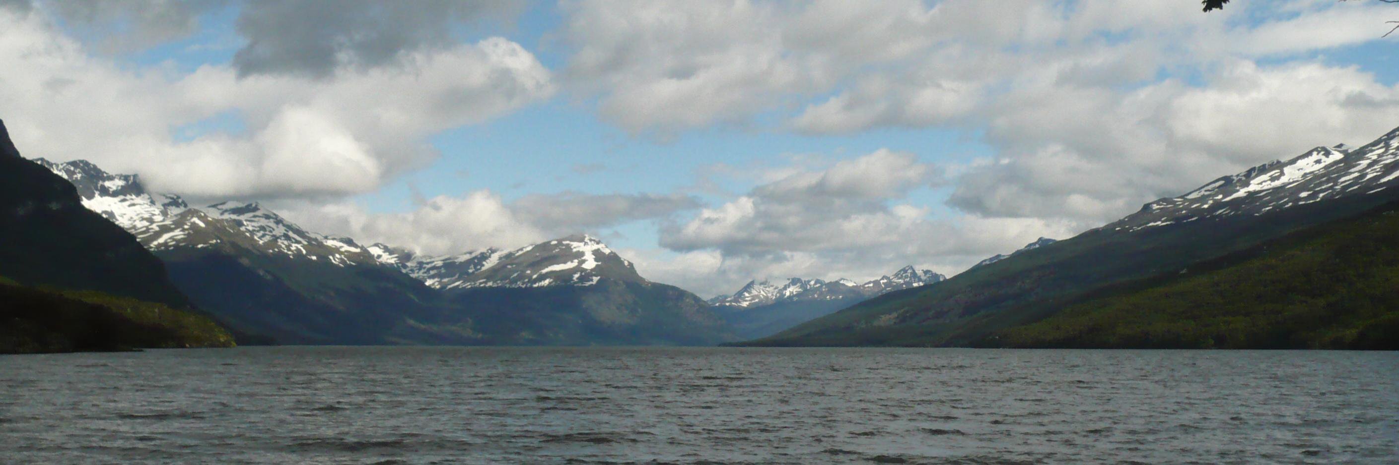 ari_salich's profile banner image