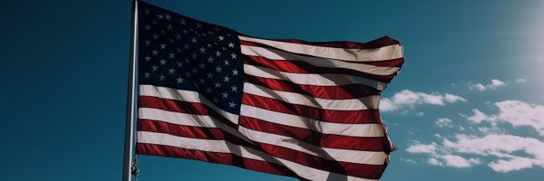 Lilly banner