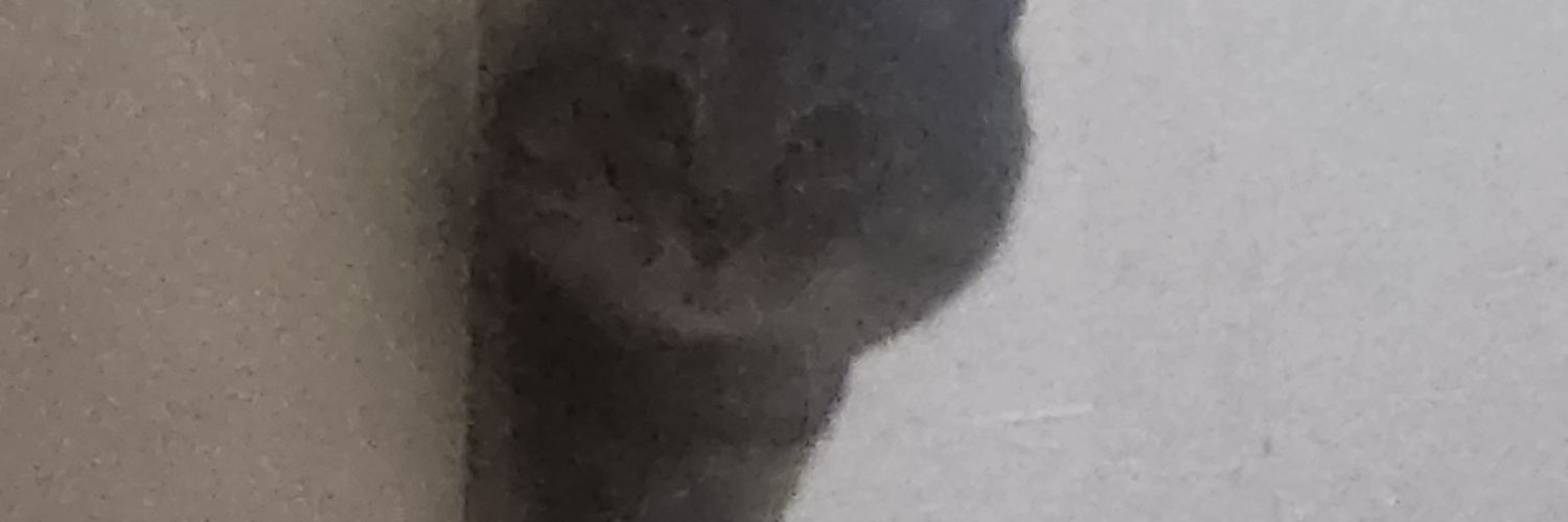 sake_lud's profile banner image