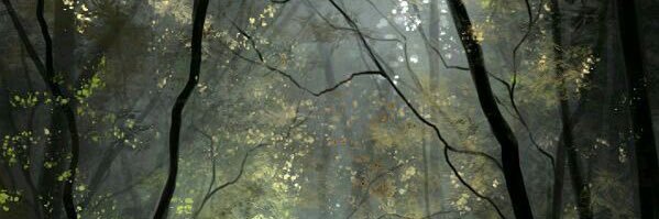 twolfsym's profile banner image