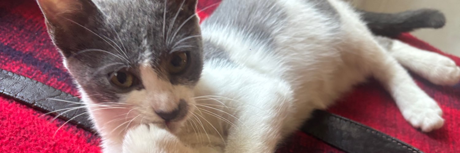 ♡ banner
