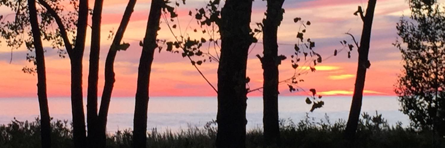 ScouterMoose's profile banner image