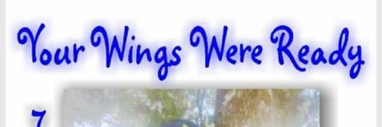 bigboyswagg870's profile banner image