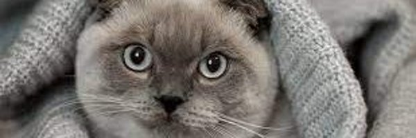 SoyYudith2023 Profile Banner