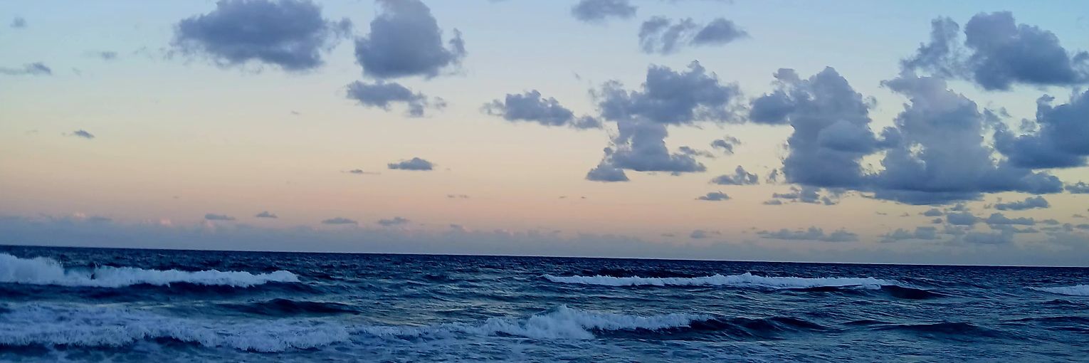 sebasnezz's profile banner image