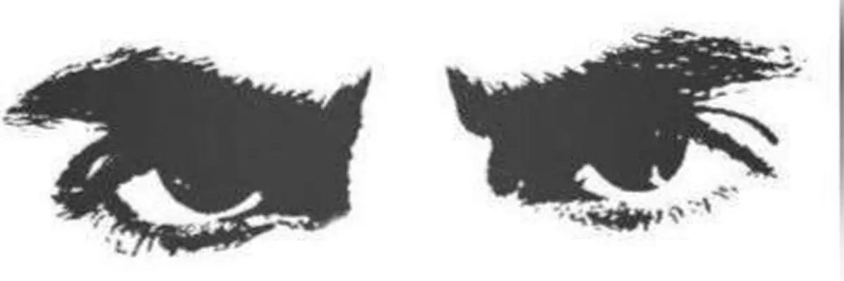 إكزولانسيس banner