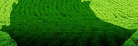 MMulatu1's profile banner image