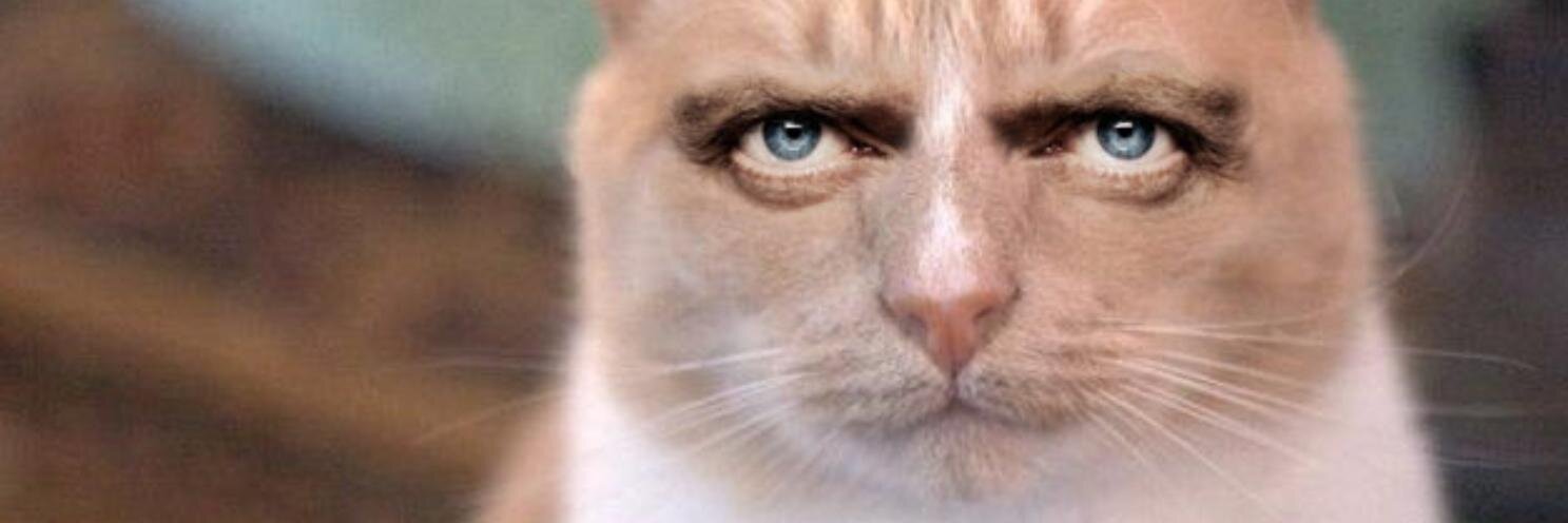 defile's profile banner image