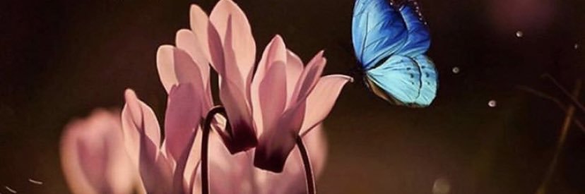 chocolet99's profile banner image