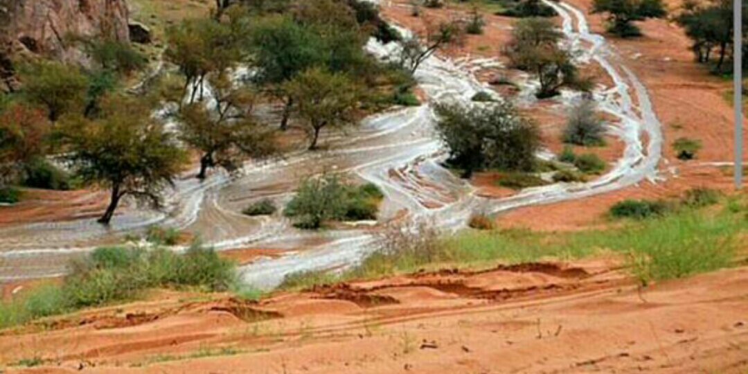 عبدالله السعودي 🇸🇦 banner