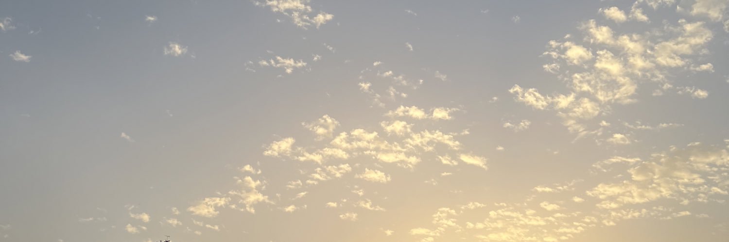 salmaasadekk's profile banner image