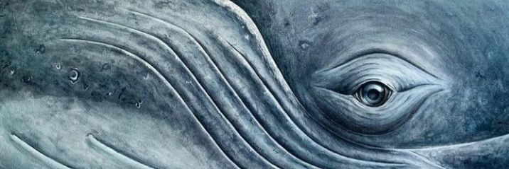 AnOceanInSaturn's profile banner image