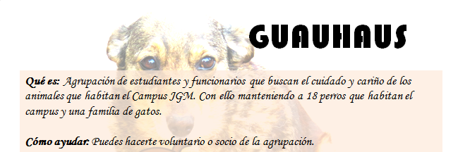 Guauhaus JGM UChile banner