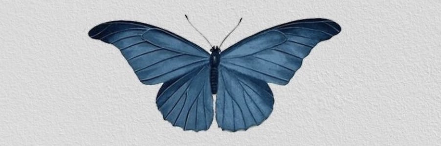 Cielo ꔫ🇵🇸 banner