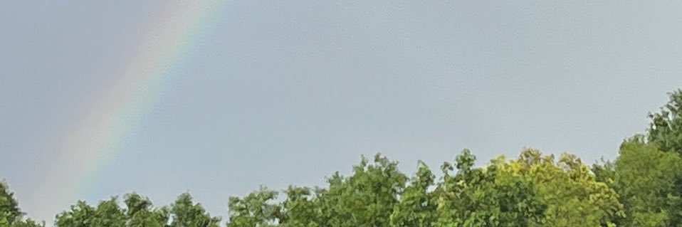Snuftyeli's profile banner image