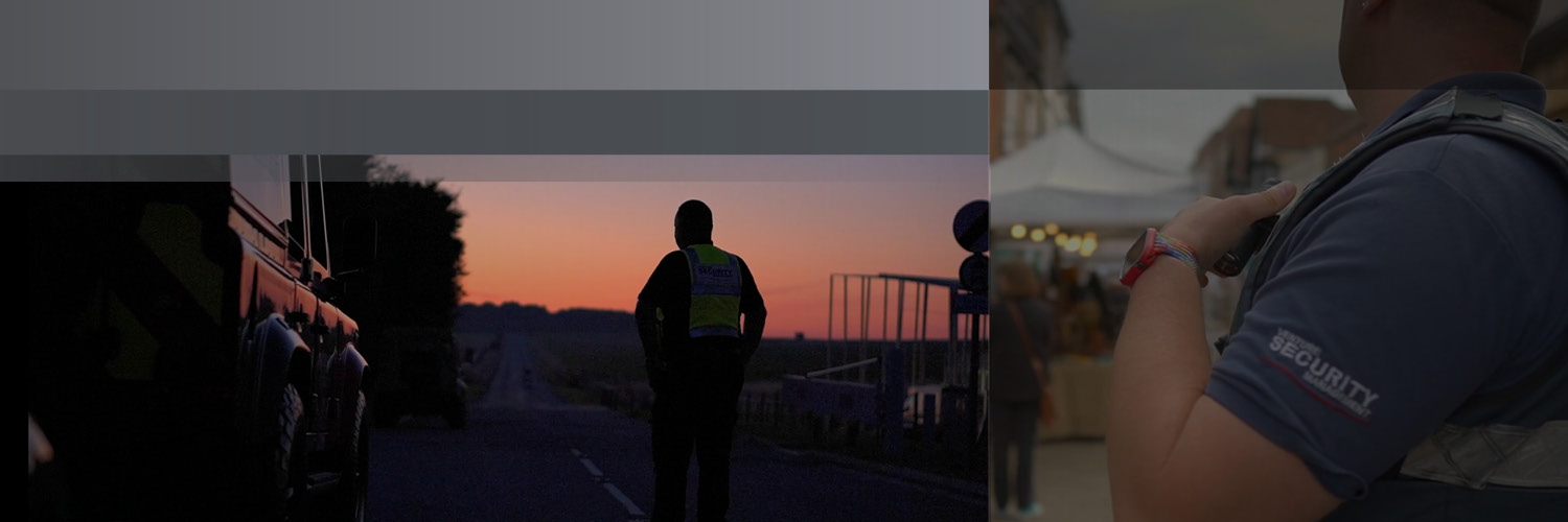 Venture Security banner