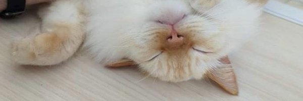 DoubleDeez Profile Banner