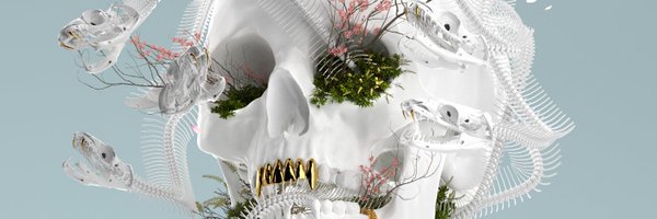 Phoenix Leighton banner