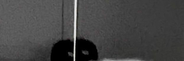 Nganprdifta's profile banner image