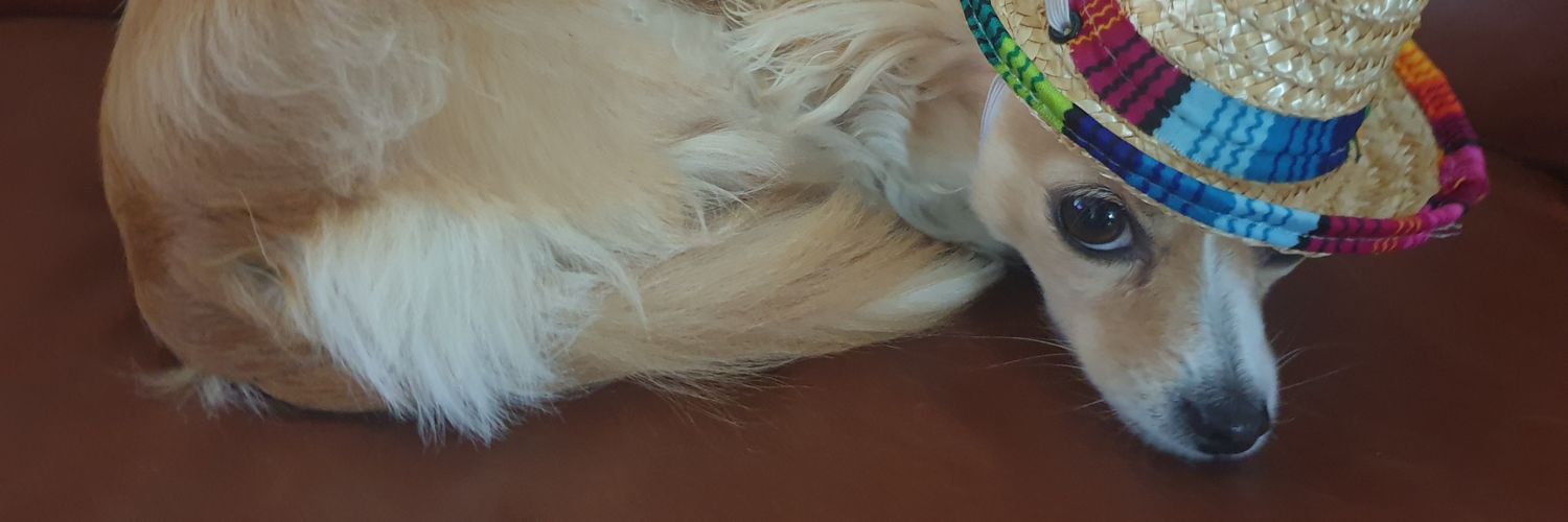 chibitibbles's profile banner image