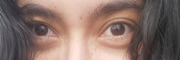 Manzanita saludable banner