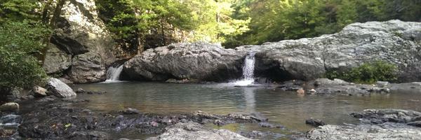 el_chiclets Profile Banner